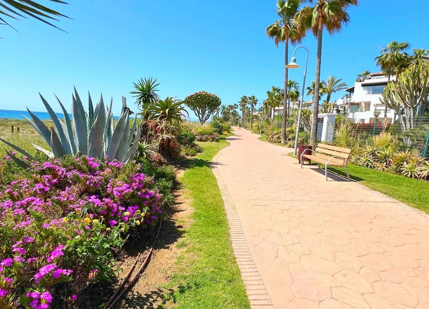 דירות אסטפונה Patio Alcornocal By Residea